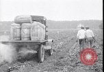 Image of 1930s produce deliveries to Washington DC United States USA, 1932, second 62 stock footage video 65675036980