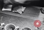 Immagine di Mangiare e cucinare a Diners United States USA, 1939, secondo 34 filmato di repertorio 65675036992