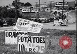 Image of Highway traffic in the 1930's New York City USA, 1939, second 23 stock footage video 65675036994