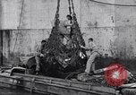 Image of DUKW amphibious vehicle Salerno Italy, 1943, second 39 stock footage video 65675036996