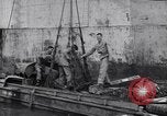 Image of DUKW amphibious vehicle Salerno Italy, 1943, second 41 stock footage video 65675036996