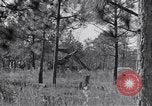 Image of 8 inch Howitzer fired Naples Italy, 1943, second 7 stock footage video 65675037002