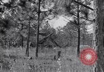 Image of 8 inch Howitzer fired Naples Italy, 1943, second 9 stock footage video 65675037002