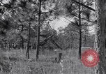 Image of 8 inch Howitzer fired Naples Italy, 1943, second 10 stock footage video 65675037002
