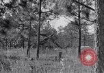 Image of 8 inch Howitzer fired Naples Italy, 1943, second 11 stock footage video 65675037002