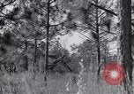 Image of 8 inch Howitzer fired Naples Italy, 1943, second 13 stock footage video 65675037002