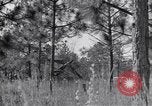 Image of 8 inch Howitzer fired Naples Italy, 1943, second 14 stock footage video 65675037002