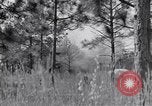 Image of 8 inch Howitzer fired Naples Italy, 1943, second 17 stock footage video 65675037002