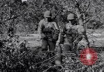 Image of 8 inch Howitzer fired Naples Italy, 1943, second 33 stock footage video 65675037002