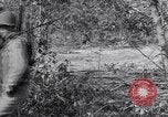 Image of 8 inch Howitzer fired Naples Italy, 1943, second 36 stock footage video 65675037002