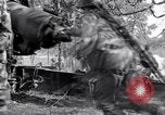 Image of 8 inch Howitzer fired Naples Italy, 1943, second 46 stock footage video 65675037002