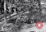 Image of 8 inch Howitzer fired Naples Italy, 1943, second 57 stock footage video 65675037002