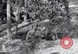 Image of 8 inch Howitzer fired Naples Italy, 1943, second 58 stock footage video 65675037002