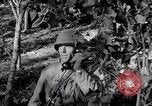 Image of 8 inch Howitzer fired Naples Italy, 1943, second 59 stock footage video 65675037002