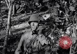 Image of 8 inch Howitzer fired Naples Italy, 1943, second 60 stock footage video 65675037002
