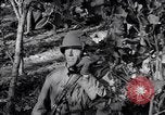 Image of 8 inch Howitzer fired Naples Italy, 1943, second 62 stock footage video 65675037002