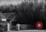 Image of Department of Agriculture Bureau of Plant Industry Savannah Georgia USA, 1939, second 1 stock footage video 65675037005