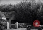 Image of Department of Agriculture Bureau of Plant Industry Savannah Georgia USA, 1939, second 4 stock footage video 65675037005