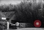 Image of Department of Agriculture Bureau of Plant Industry Savannah Georgia USA, 1939, second 5 stock footage video 65675037005