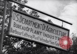 Image of Department of Agriculture Bureau of Plant Industry Savannah Georgia USA, 1939, second 15 stock footage video 65675037005