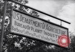 Image of Department of Agriculture Bureau of Plant Industry Savannah Georgia USA, 1939, second 16 stock footage video 65675037005