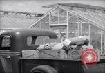 Image of Department of Agriculture Bureau of Plant Industry Savannah Georgia USA, 1939, second 33 stock footage video 65675037005