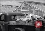 Image of Department of Agriculture Bureau of Plant Industry Savannah Georgia USA, 1939, second 34 stock footage video 65675037005