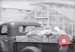 Image of Department of Agriculture Bureau of Plant Industry Savannah Georgia USA, 1939, second 35 stock footage video 65675037005