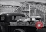 Image of Department of Agriculture Bureau of Plant Industry Savannah Georgia USA, 1939, second 36 stock footage video 65675037005