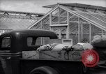 Image of Department of Agriculture Bureau of Plant Industry Savannah Georgia USA, 1939, second 39 stock footage video 65675037005