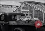 Image of Department of Agriculture Bureau of Plant Industry Savannah Georgia USA, 1939, second 40 stock footage video 65675037005