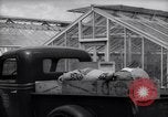 Image of Department of Agriculture Bureau of Plant Industry Savannah Georgia USA, 1939, second 41 stock footage video 65675037005