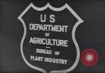 Image of Department of Agriculture Bureau of Plant Industry Savannah Georgia USA, 1939, second 43 stock footage video 65675037005