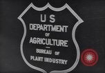 Image of Department of Agriculture Bureau of Plant Industry Savannah Georgia USA, 1939, second 45 stock footage video 65675037005