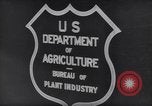 Image of Department of Agriculture Bureau of Plant Industry Savannah Georgia USA, 1939, second 47 stock footage video 65675037005