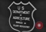 Image of Department of Agriculture Bureau of Plant Industry Savannah Georgia USA, 1939, second 49 stock footage video 65675037005