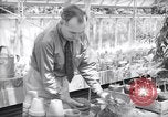 Image of Department of Agriculture Bureau of Plant Industry Savannah Georgia USA, 1939, second 51 stock footage video 65675037005
