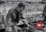 Image of Department of Agriculture Bureau of Plant Industry Savannah Georgia USA, 1939, second 52 stock footage video 65675037005