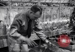 Image of Department of Agriculture Bureau of Plant Industry Savannah Georgia USA, 1939, second 53 stock footage video 65675037005