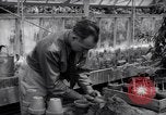 Image of Department of Agriculture Bureau of Plant Industry Savannah Georgia USA, 1939, second 54 stock footage video 65675037005