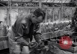 Image of Department of Agriculture Bureau of Plant Industry Savannah Georgia USA, 1939, second 55 stock footage video 65675037005