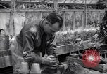 Image of Department of Agriculture Bureau of Plant Industry Savannah Georgia USA, 1939, second 56 stock footage video 65675037005