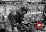 Image of Department of Agriculture Bureau of Plant Industry Savannah Georgia USA, 1939, second 57 stock footage video 65675037005
