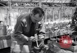 Image of Department of Agriculture Bureau of Plant Industry Savannah Georgia USA, 1939, second 58 stock footage video 65675037005