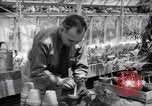 Image of Department of Agriculture Bureau of Plant Industry Savannah Georgia USA, 1939, second 59 stock footage video 65675037005