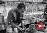 Image of Department of Agriculture Bureau of Plant Industry Savannah Georgia USA, 1939, second 60 stock footage video 65675037005