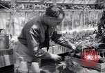 Image of Department of Agriculture Bureau of Plant Industry Savannah Georgia USA, 1939, second 61 stock footage video 65675037005