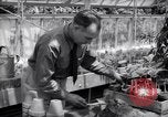 Image of Department of Agriculture Bureau of Plant Industry Savannah Georgia USA, 1939, second 62 stock footage video 65675037005