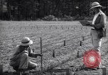 Image of farmer plows farm on tractor Savannah Georgia USA, 1939, second 43 stock footage video 65675037006