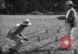 Image of farmer plows farm on tractor Savannah Georgia USA, 1939, second 45 stock footage video 65675037006
